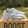 Adidas Yeezy Boost 700 Inertia Gray EG7597