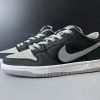 Nike SB Dunk Low J-Pack Shadow BQ6817-007